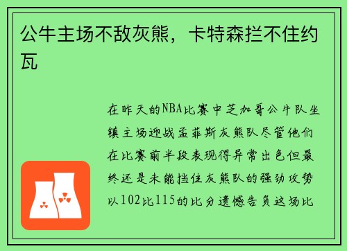 公牛主场不敌灰熊，卡特森拦不住约瓦